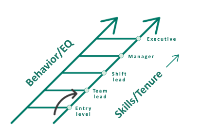 Leadership Ladder LeadersQ